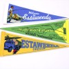 Premium Felt Pennant...