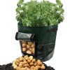Potato Grow Bag...